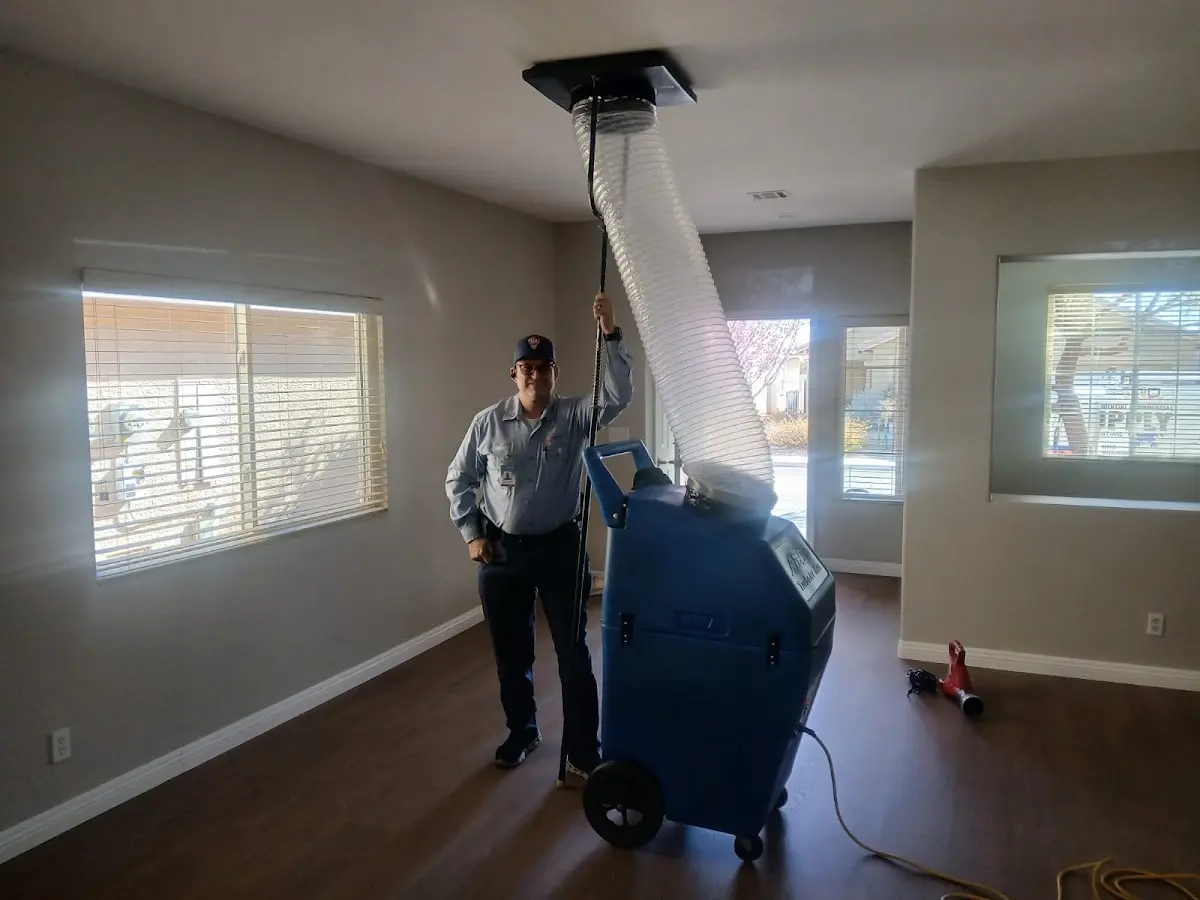 Professional Dryer Vent Cleaning work inside a Camden home